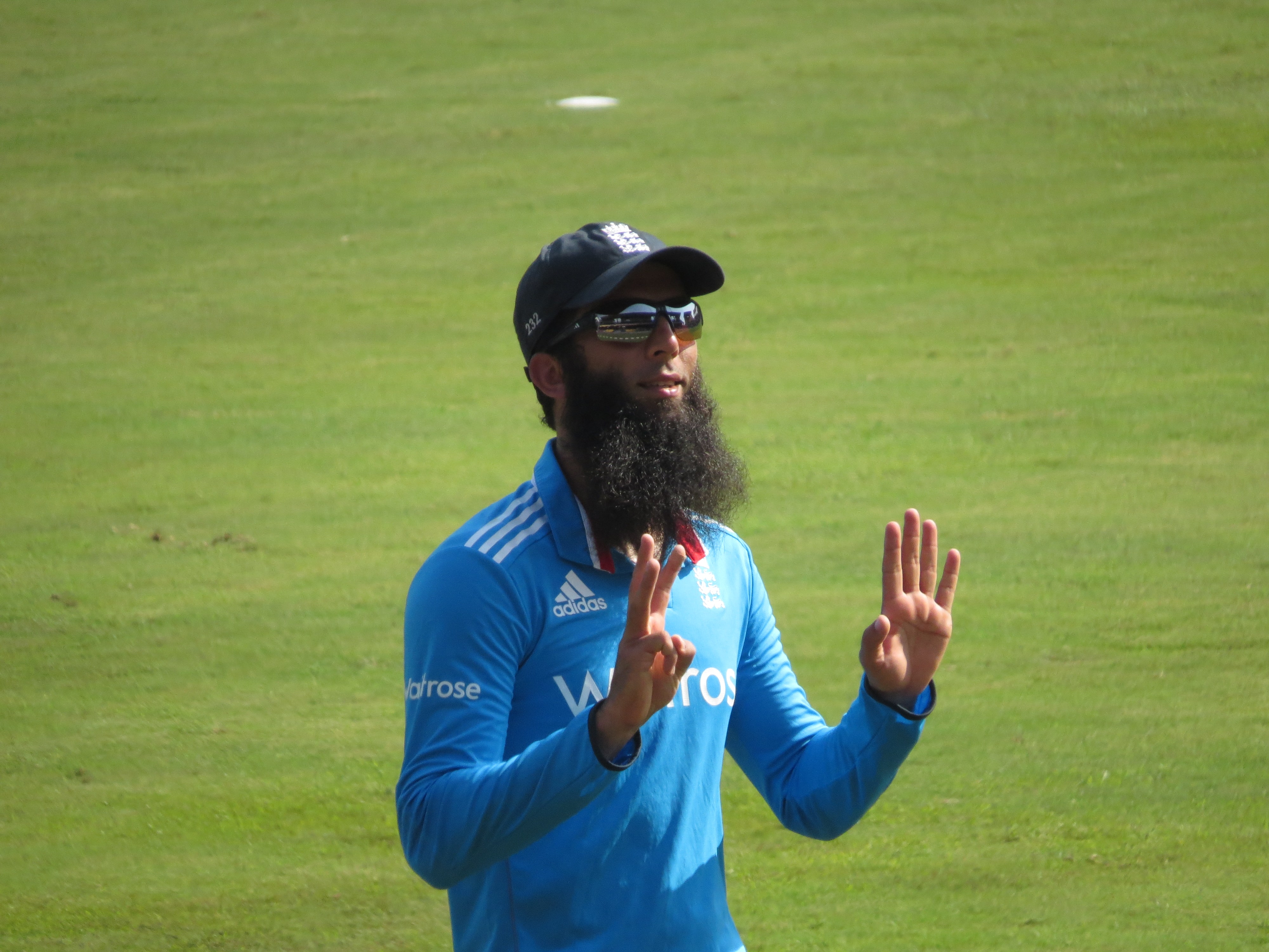 cricket beard